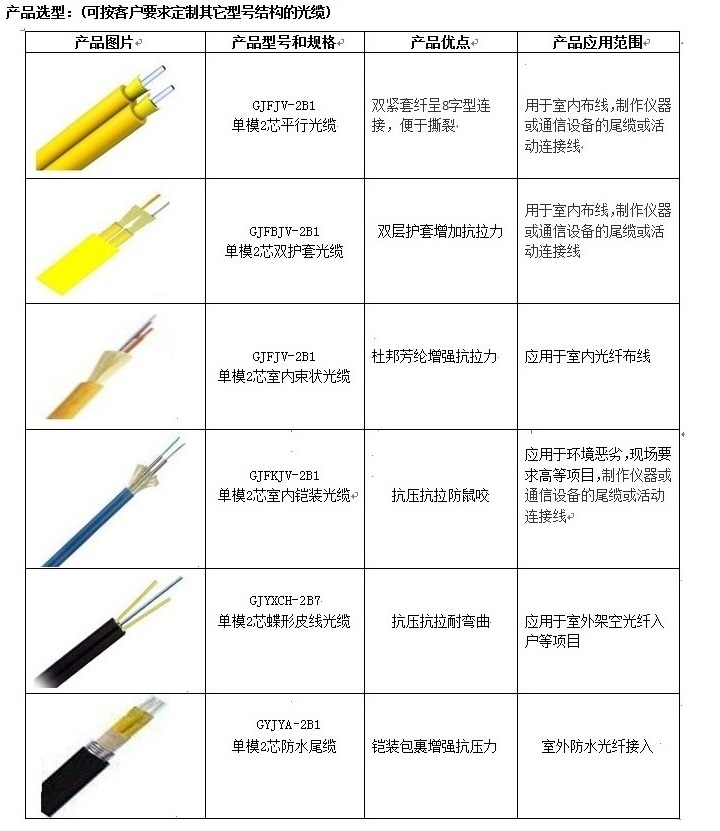 2芯单模光�?.jpg 2芯单模光�?.jpg